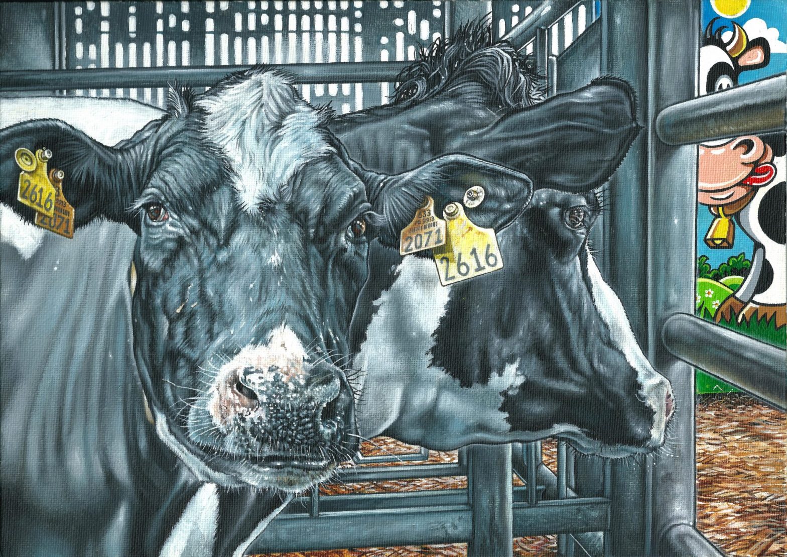 Cows Rights Animal Rights – Philip Downs