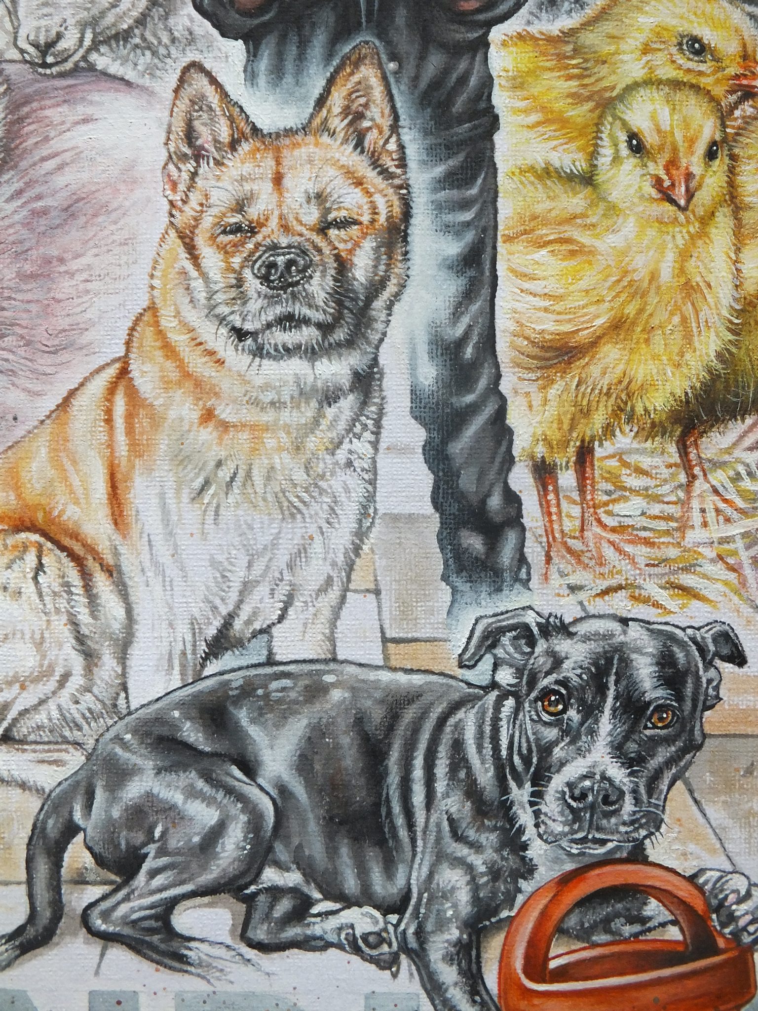 Animal Rights – Philip Downs
